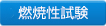 燃焼性試験